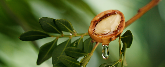 Arganöl – Anti-Aging Wundermittel?