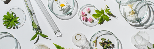 Vorteile von Naturkosmetik für die Haut